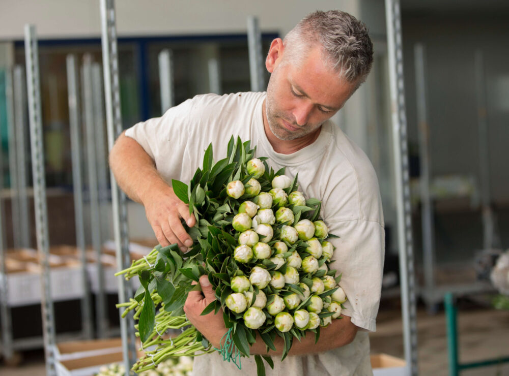 Valentinfleurs Frankrijk