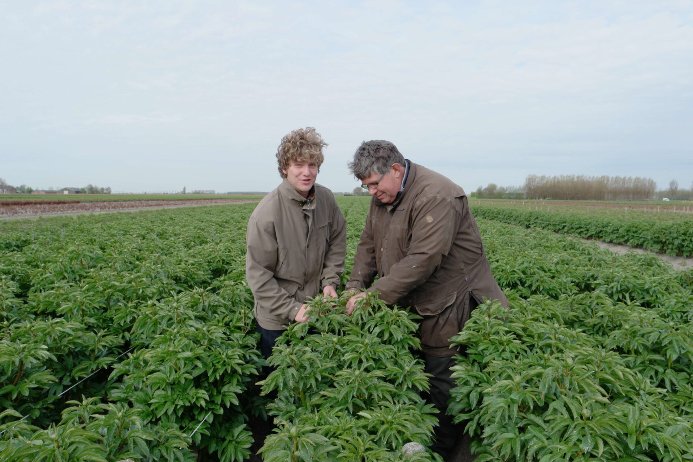 Jaap and Leendert Mastenbroek - Delta Peony