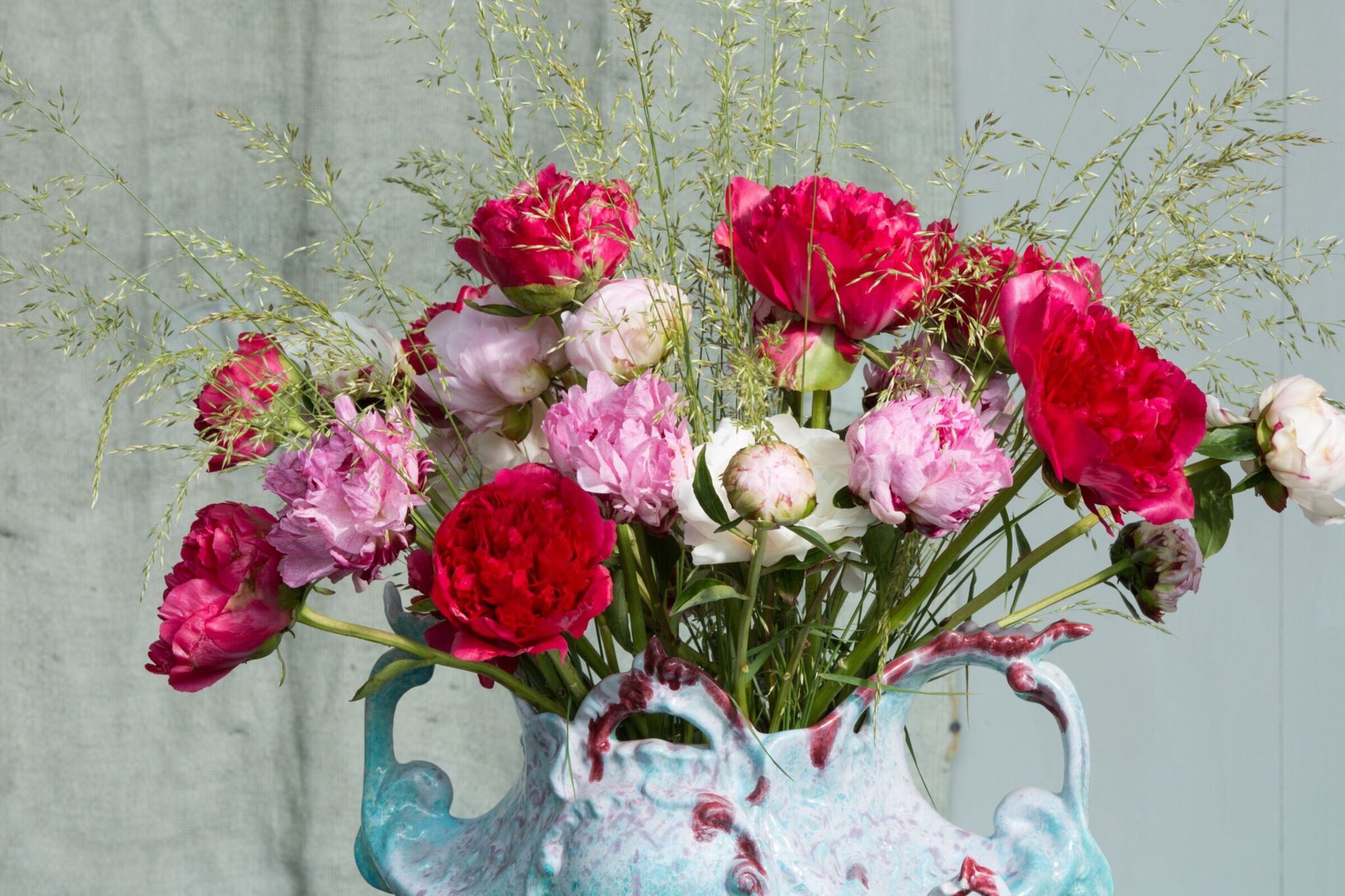 Let your peonies open radiantly!