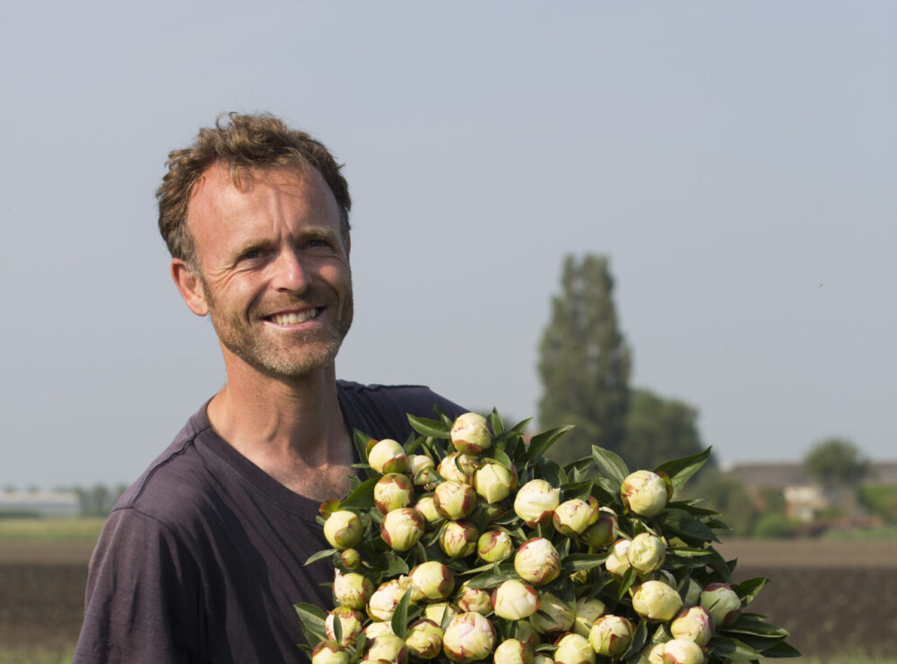 Grower big white peony