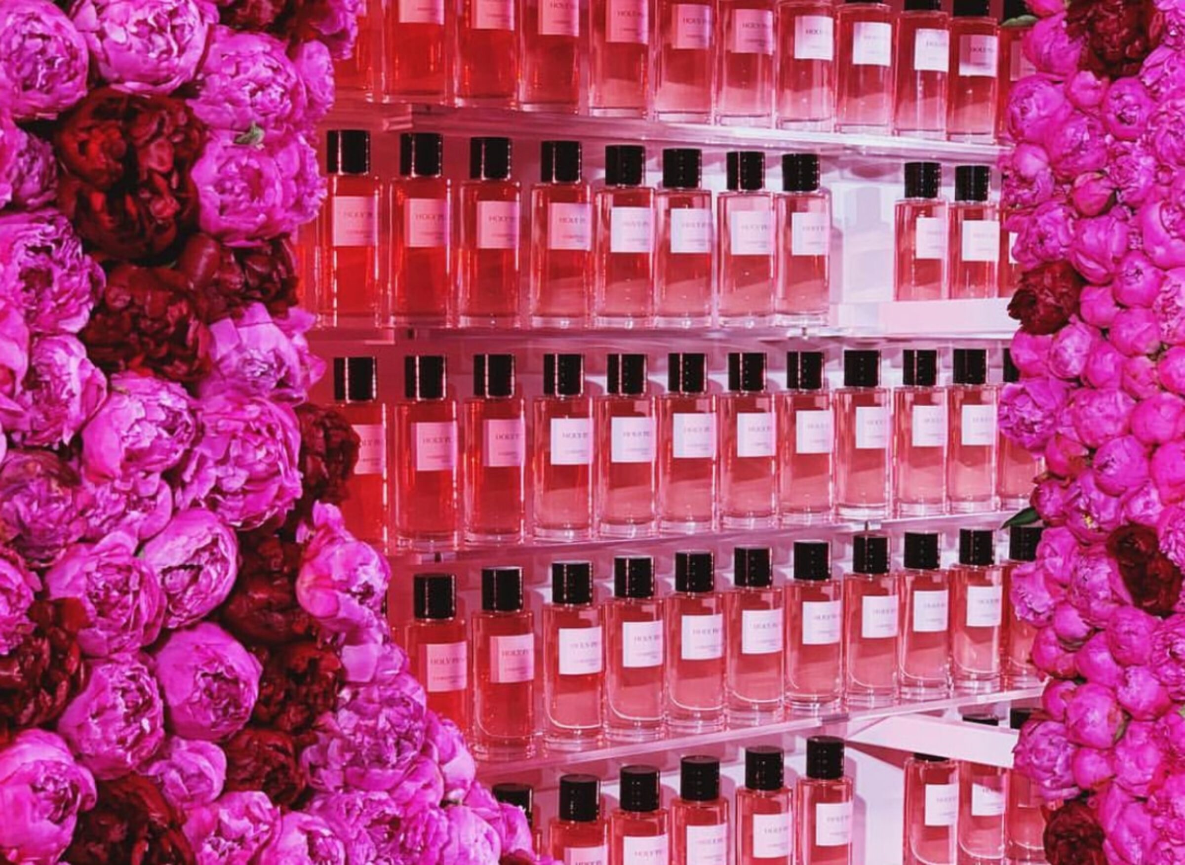 Holy peony dior perfume deals