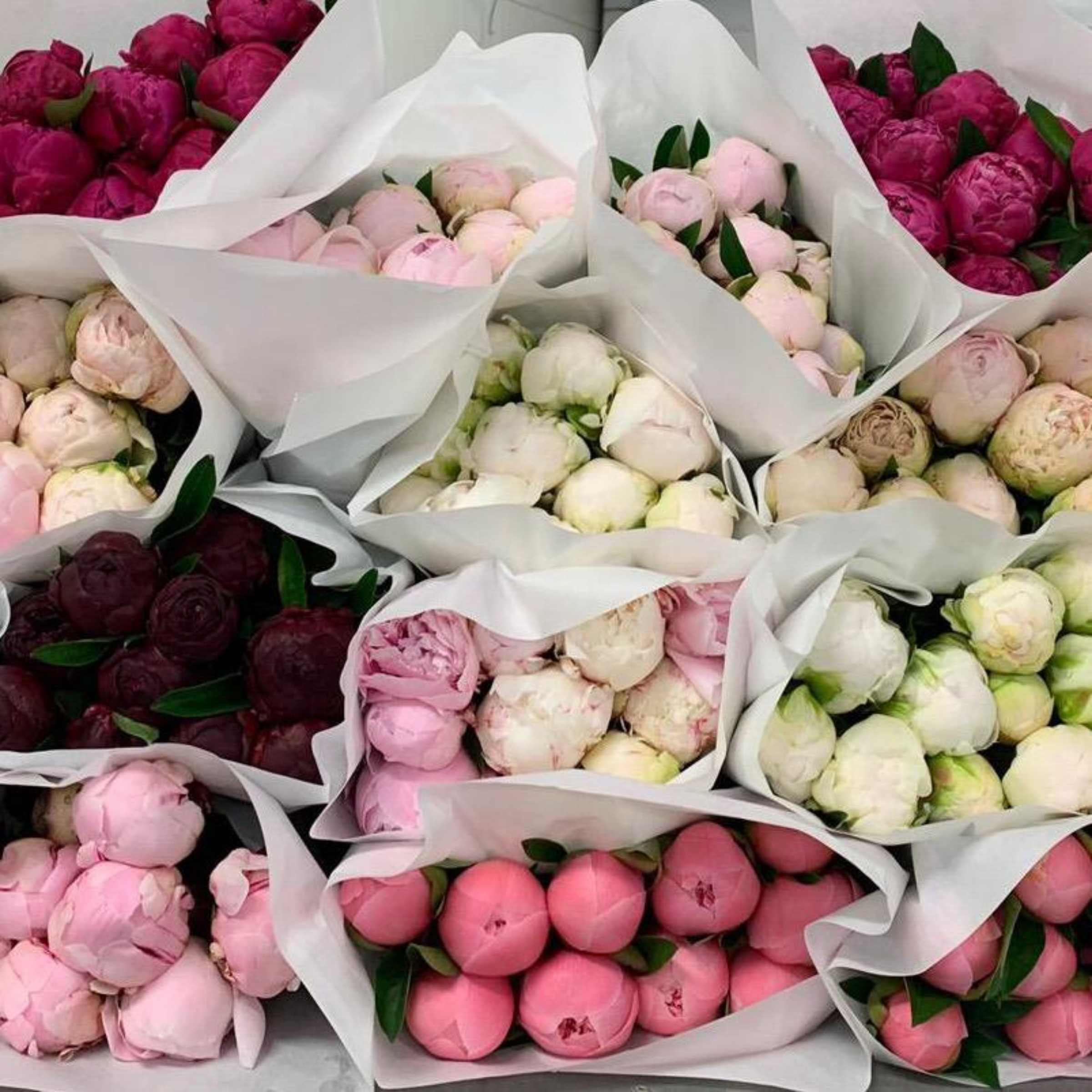 Keeping your peonies in perfect shape