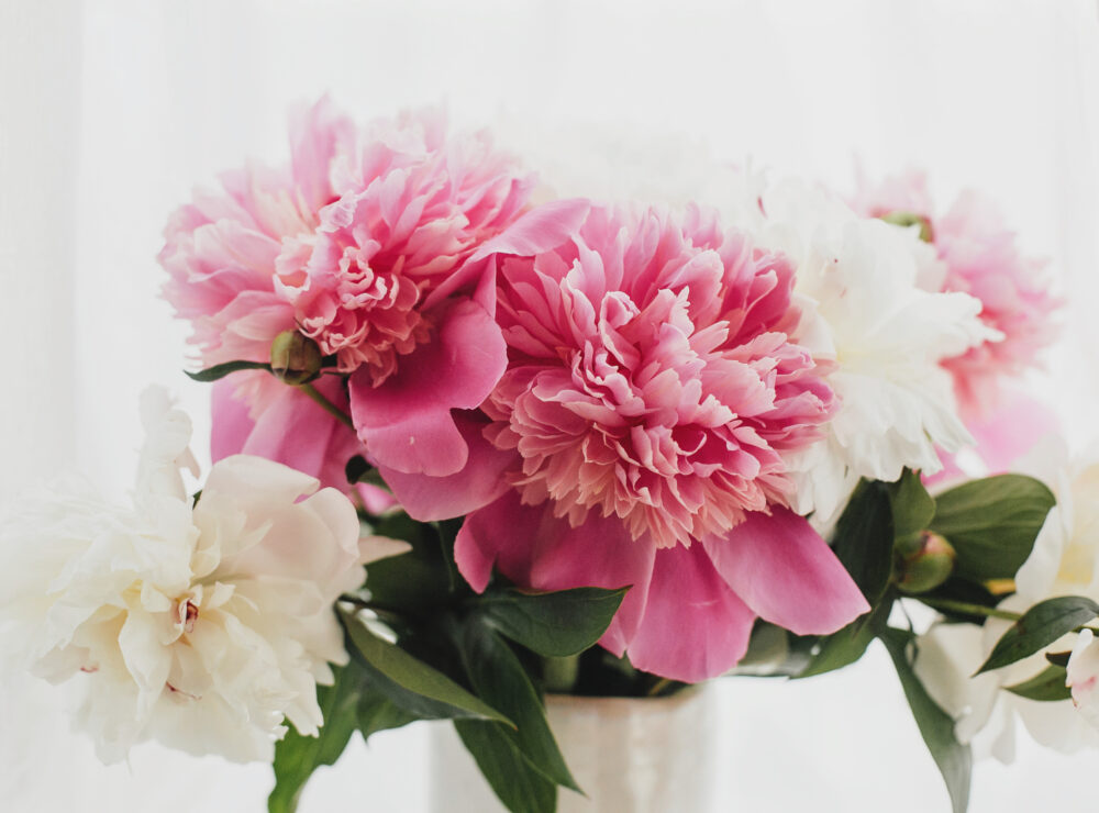 Flower styling: How to make peonies shine!