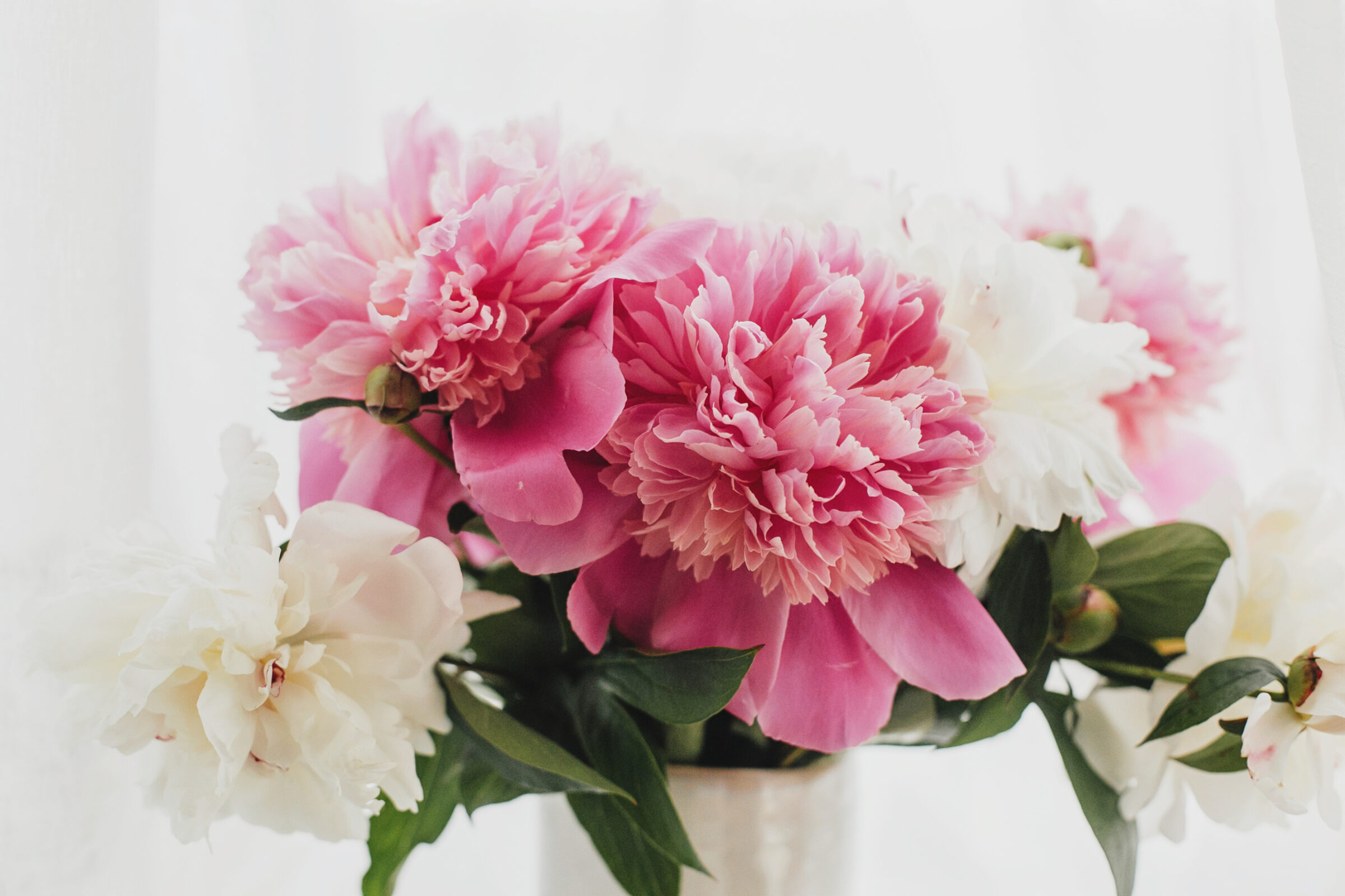 Flower styling: How to make peonies shine!