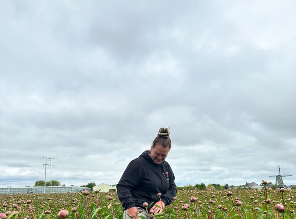 Miller Flowers