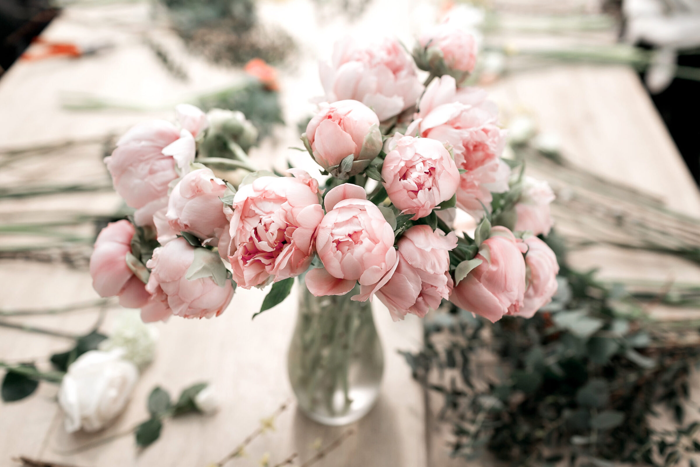 Why your peonies won't open and how to make them bloom