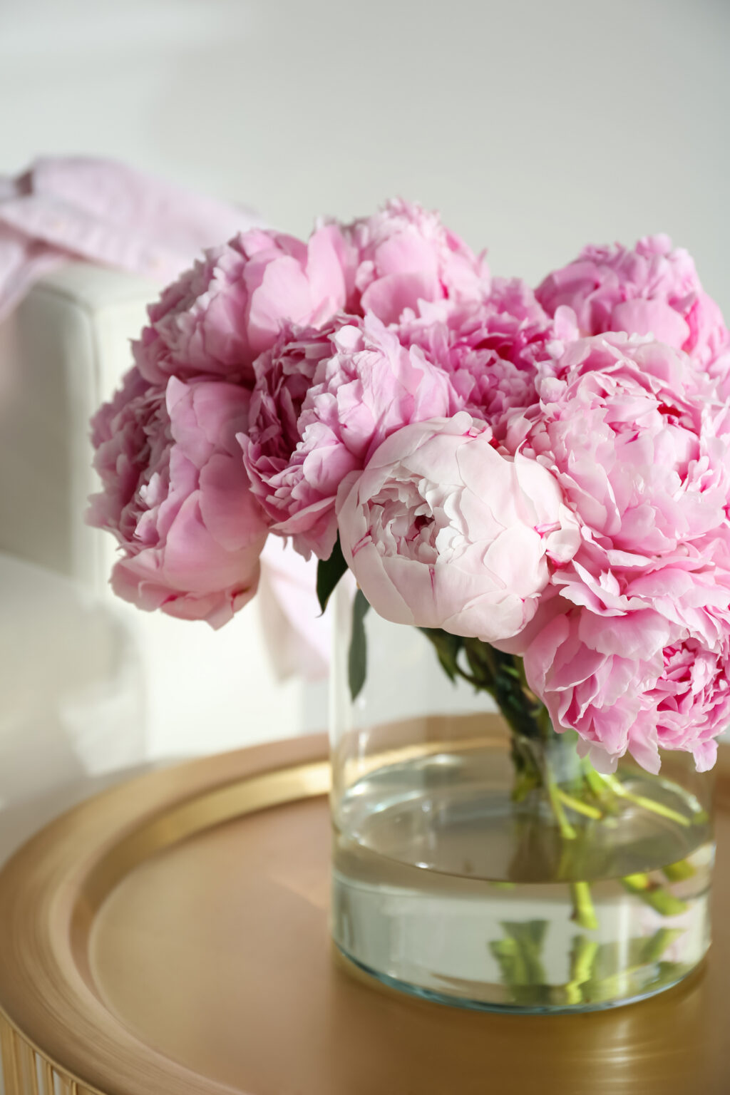 Long-lasting peonies