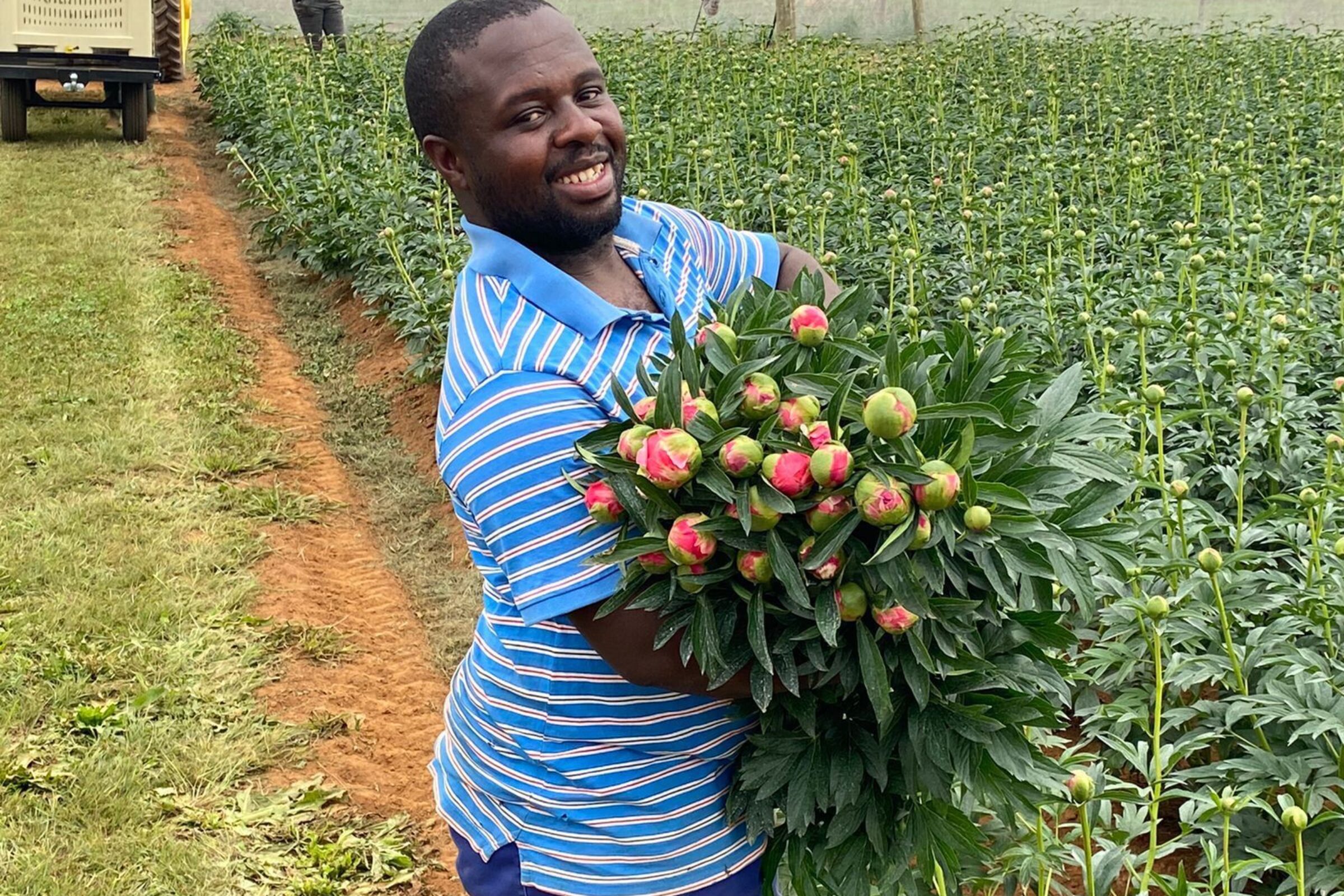 Peony Season is ON: The first peonies from South Africa are almost here!