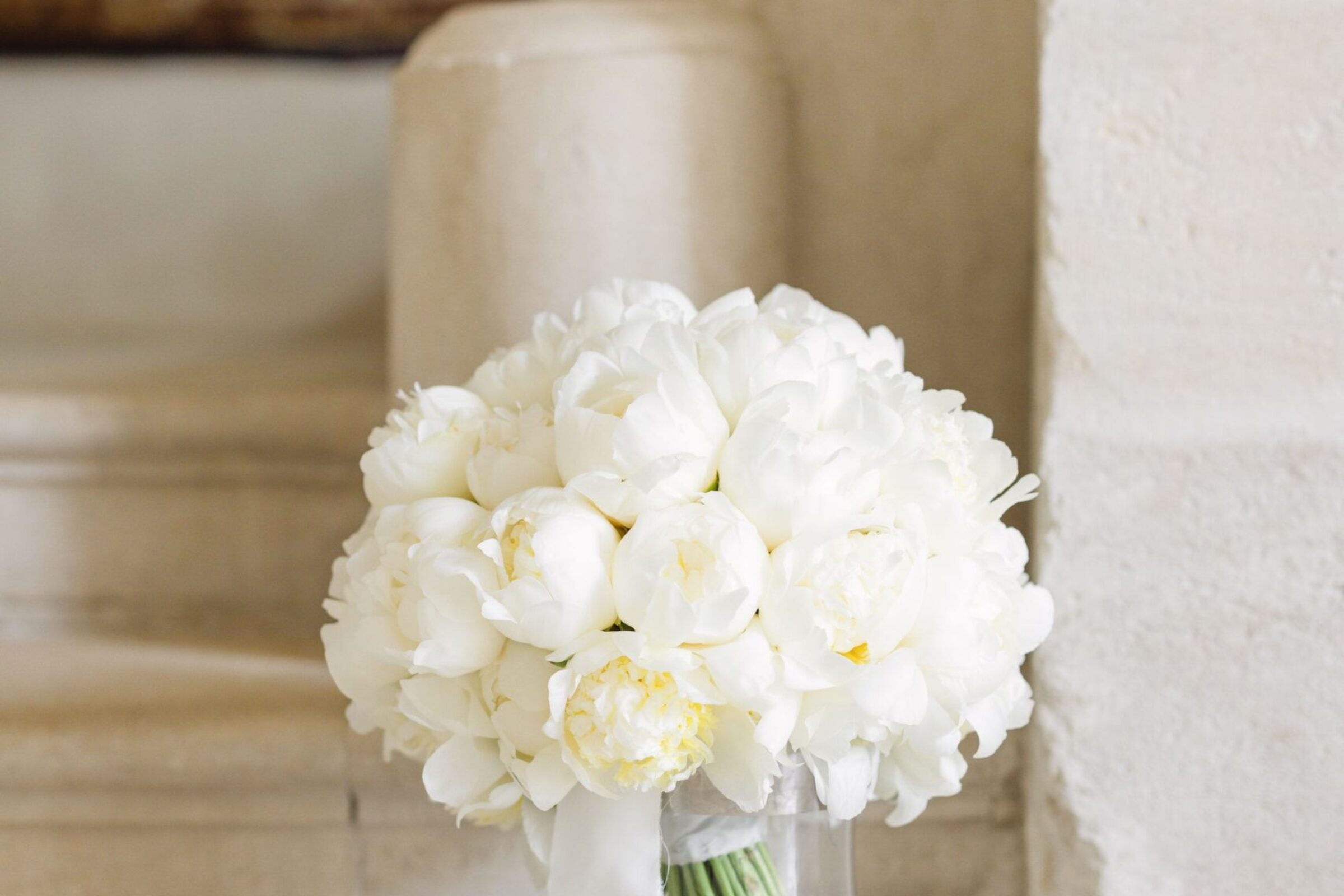 Peonies: the perfect flowers for your bridal bouquet and wedding